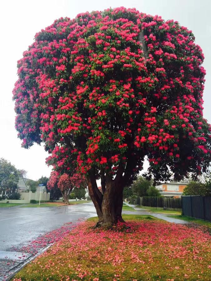 Rotorua City Center Holiday House Bagian luar foto